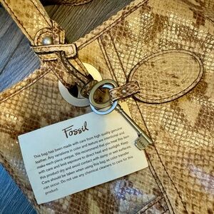 Fossil bag
